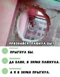 Смешные картинки из соц сетей