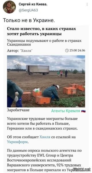 Так как раз именно за это и скакал майдаун. 
Этим даунам гораздо милее любить нэньку откуда подальше от самой нэньки.