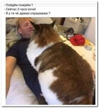 Смешные комментарии из соц.сетей