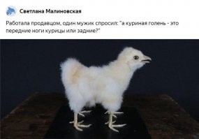 Смешные комментарии из соц.сетей