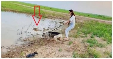 Я думал её крокодил съест