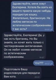 С юмором по жизни