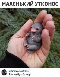 Это же Ниблер!