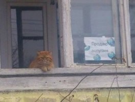Напомнило: