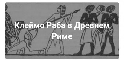 Смешные комментарии из соц.сетей