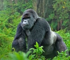 Смешные комментарии из соц.сетей