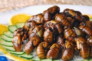 А если рецепты с насекомыми?
PS Кстати, по содержанию питательных веществ, они, говорят, сто очков вперед дают всяким свининам-говялинам