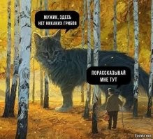 Пора... пора замутить вечерний Калейдоскоп позитива