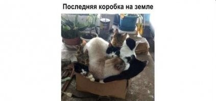 Пора... пора замутить вечерний Калейдоскоп позитива