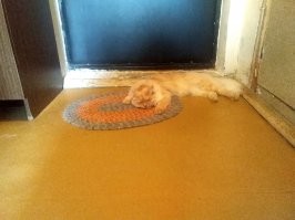 Следит всегда, даже вход-выход под контролем )))