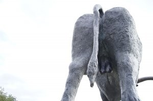 Бык в Раквере. Тут вот не очень видно, яйки у него всегда блестят