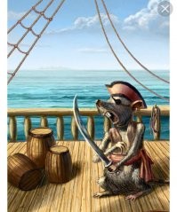 Маленький шотландский остров, который корабельные крысы сделали необитаемым