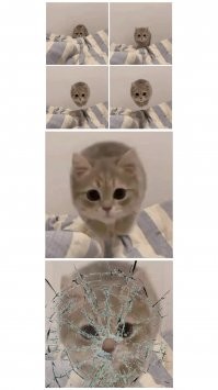 Калейдоскоп позитива