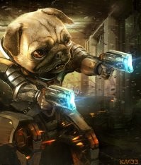 Доброта всегда рядом: 23 приспособления для собак-инвалидов