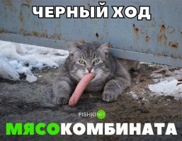 Пора... пора замутить вечерний Калейдоскоп позитива