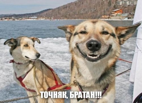 Не сошлись оттенками