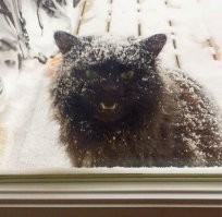 Пусти меня! А то щас как зайду!