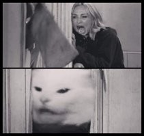 Смешные комментарии из соц.сетей