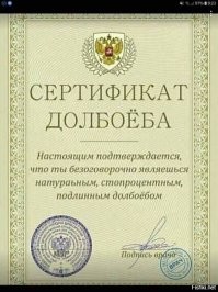 Невеста надела на свою свадьбу нетрадиционное «платье»