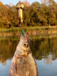 Ох...енная блесна!!