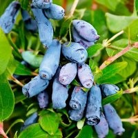 Скрины из соцсетей