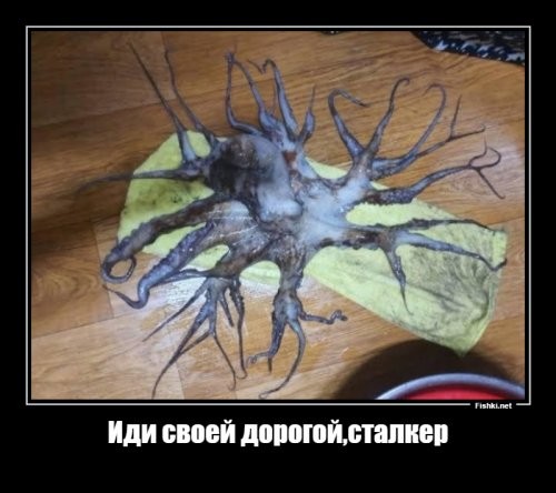 Полит.стёб и другое