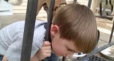 Любопытство не порок