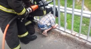 Любопытство не порок