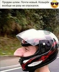 Смешные и познавательные картинки