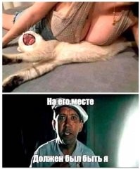 Калейдоскоп сплошного воскресного позитива