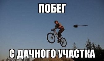 Смешные комментарии из соц.сетей