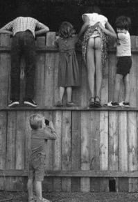 Любопытство - это хобби!