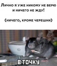 Не ищите здесь смысл. Здесь в основном маразм