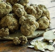 Это ж как надо оголодать, чтобы за такую хрень тысячи долларов платить... ))