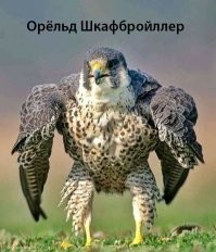 Только посмотрите на этих гигантов!