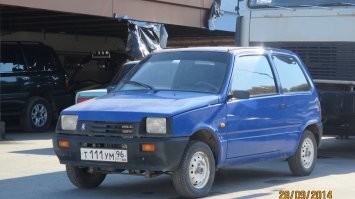 Синяя. С лошадью.