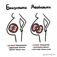 Автора уже успешно и справедливо попинали в картинках почти за всё. Внесу и я свою малую лепту. Вот за это: 



Ну НЕТ такого понятия как "двойняшки" нигде, кроме разговорного языка для малограмотных. И то, и то - близнецы. Однояйцевые и разнояйцевые. Монозиготные и дизиготные. А "двойня" (не двойняшки) - это определение количества плодов у женщины. Двойней могут быть как однояйцевые, так и разнояйцевые близнецы.

Источник:  © Fishki.net