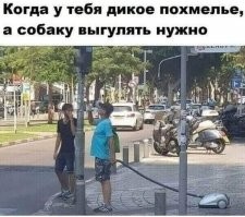 Смешные и познавательные картинки