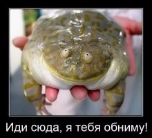 Демотиваторы в очередной раз отправляют в путешествие по волнам юмора