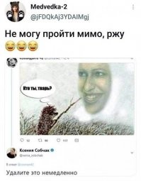 Смешные комментарии из соц.сетей
