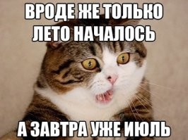 Красота летней России