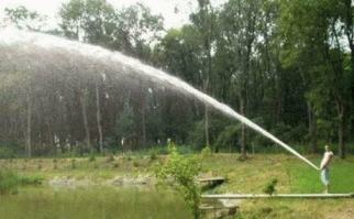 Сочный сладкий арбуз для маленькой обезьянки и ее друзей