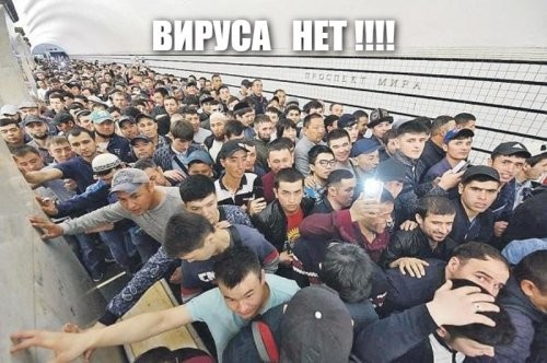 в Москве вирус распостраняют гастеры!!! они не лечатся и катаются в метро толпами!!! оленевод рулит!!!