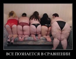 Всё в мире познаётся в сравнении