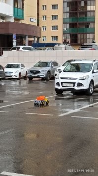 Автовсячина