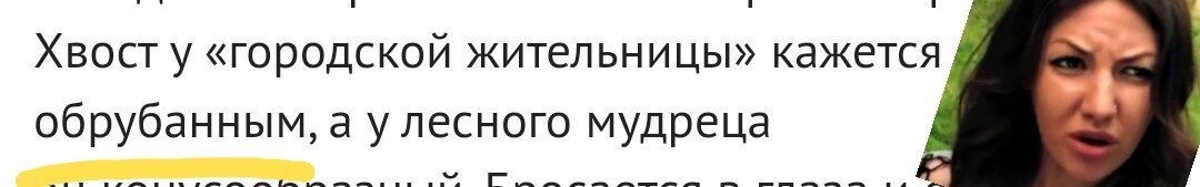 Чем ворон отличается от вороны