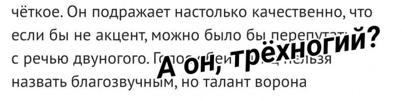 Чем ворон отличается от вороны