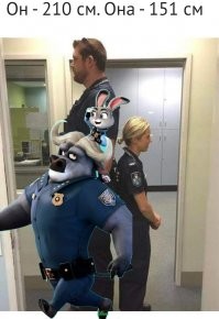 Всё в мире познаётся в сравнении