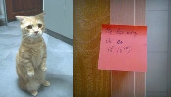 Смешные комментарии из соц.сетей