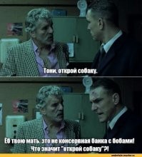 Поклевал на миллион: попугай проглотил бриллианты хозяйки